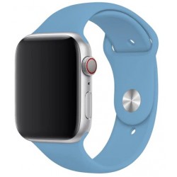 Ανταλλακτικό λουράκι QuickFit Apple Watch 1/2/3/4/5/6/SE/7/8 (42/44/45/49mm) Smoothband Cornflower