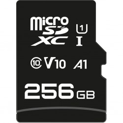 Qilive Memory Card microSDXC 256GB Class 10 with Adapter