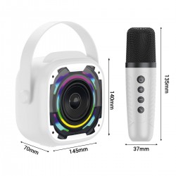 Φορητό Ηχείο Blavec WS-08 Karaoke Idol Portable Bluetooth Speaker with 2 Microphones 8W White