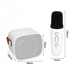 Φορητό Ηχείο Blavec WS-07 Karaoke Party Portable Bluetooth Speaker with 2 Microphones 5W White