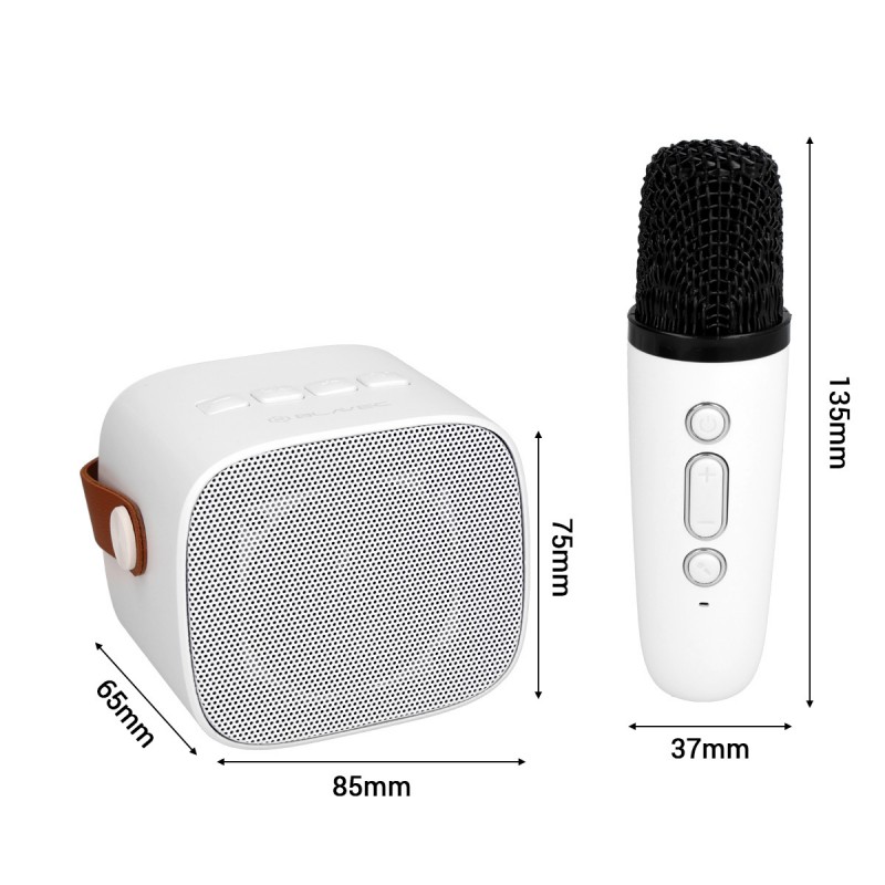 Φορητό Ηχείο Blavec WS-07 Karaoke Party Portable Bluetooth Speaker with 2 Microphones 5W White