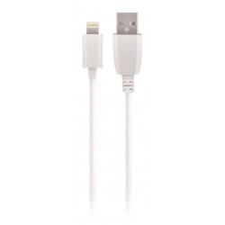 Φορτιστής Αυτοκινήτου Setty Car Charger 2.4A με Καλώδιο Apple Lightning White