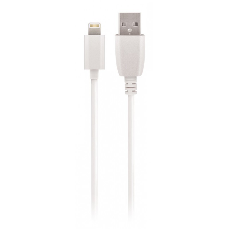 Φορτιστής Αυτοκινήτου Setty Car Charger 2.4A με Καλώδιο Apple Lightning White