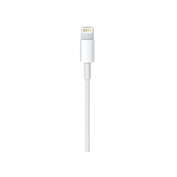 Καλώδιο Apple Lightning to Type-C MKQ42ZM/A (Original Bulk)