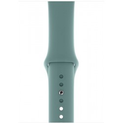 Ανταλλακτικό λουράκι QuickFit Apple Watch 1/2/3/4/5/6/SE/7/8 (42/44/45/49mm) Smoothband Cactus Green