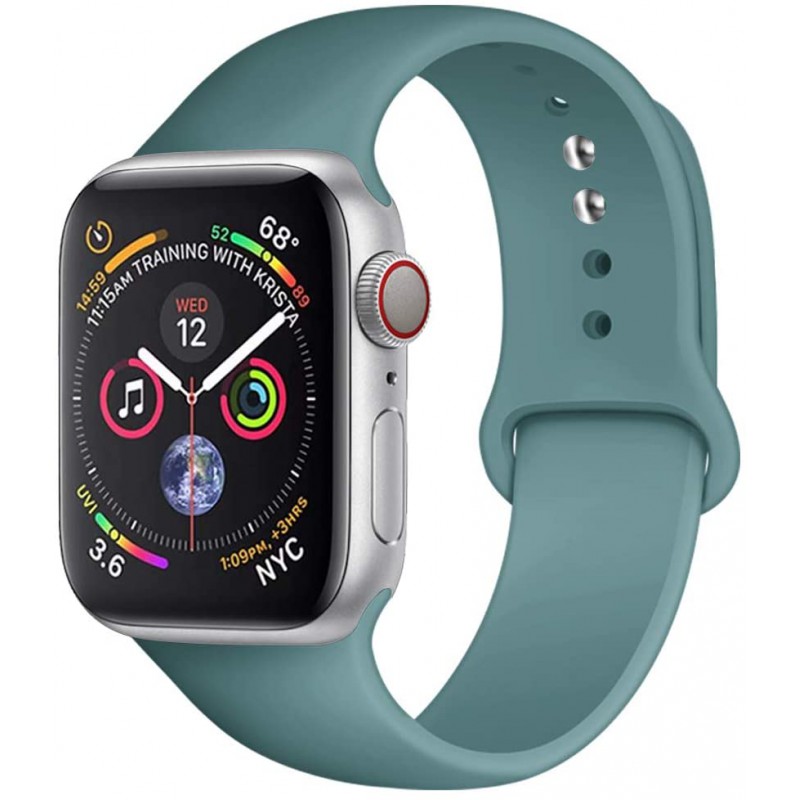 Ανταλλακτικό λουράκι QuickFit Apple Watch 1/2/3/4/5/6/SE/7/8 (42/44/45/49mm) Smoothband Cactus Green